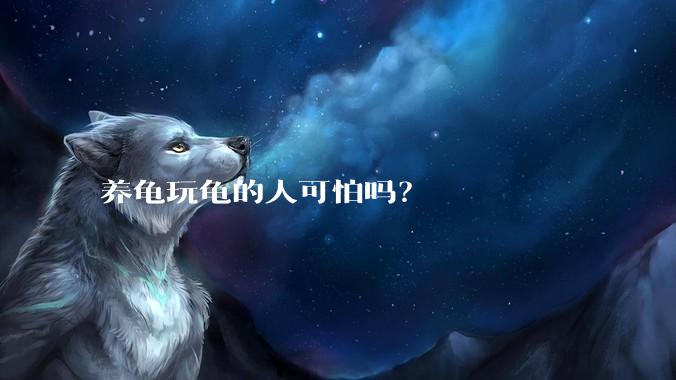 养龟玩龟的人可怕吗？
