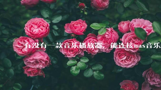 有没有一款音乐播放器，能连接nas音乐，创建音乐库，自动匹配歌词封面等等？类似infuse的概念呢？