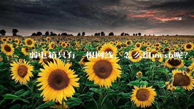 弱电箱只有一根网线，怎么组mesh呢？