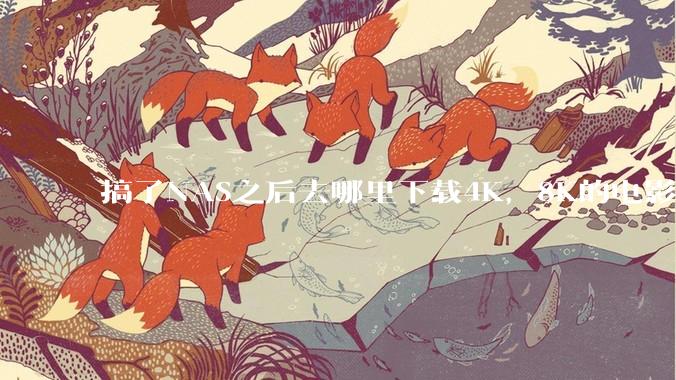 搞了NAS之后去哪里下载4K，8K的电影？
