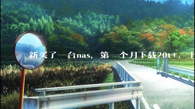 新买了一台nas，第一个月下载20t+，上传5+，不会被网警盯上吧?
