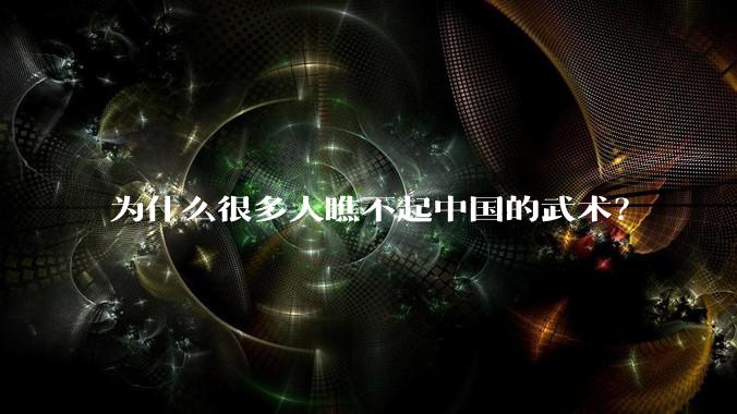 为什么很多人瞧不起中国的武术？