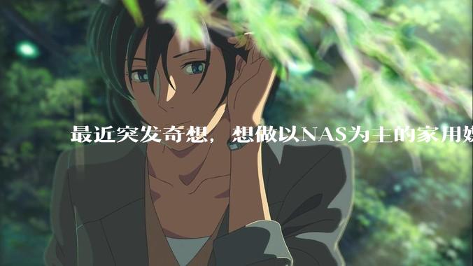 最近突发奇想，想做以NAS为主的家用媒体中心。下面是我做的一个草图，各位大神看看可行吗？