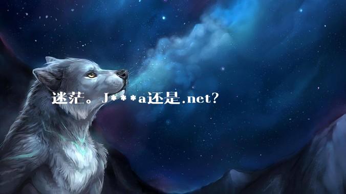 迷茫。J***a还是.net？