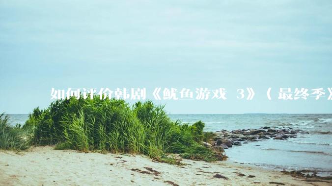 如何评价韩剧《鱿鱼游戏 3》（最终季》？