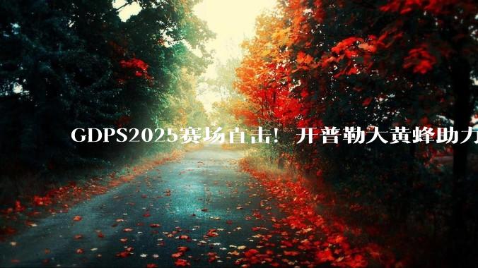 GDPS2025赛场直击！开普勒大黄蜂助力华理斩获搬运赛项桂冠 - *