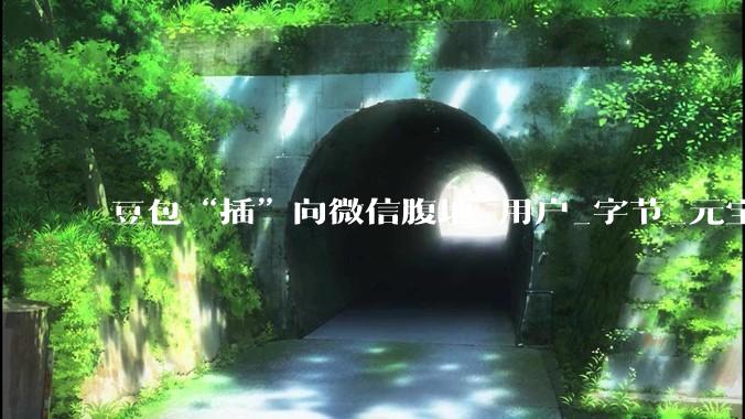 豆包“插”向微信腹地_用户_字节_元宝