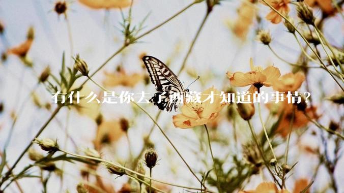 有什么是你去了西藏才知道的事情？