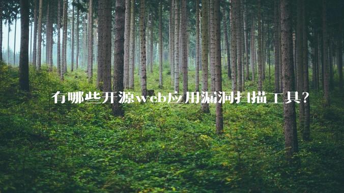 有哪些开源web应用漏洞扫描工具？