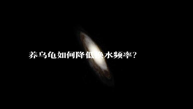 养乌龟如何降低换水频率？