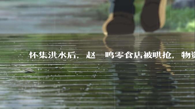 怀集洪水后，赵一鸣零食店被哄抢，物资和收银机里面的几千块钱被哄抢一空，如何评价？