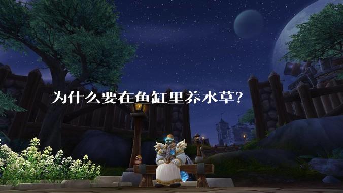 为什么要在鱼缸里养水草？
