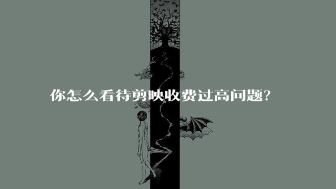 你怎么看待剪映收费过高问题？