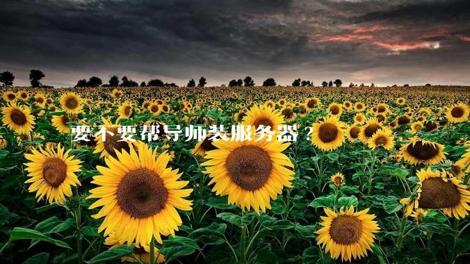 要不要帮导师装服务器?
