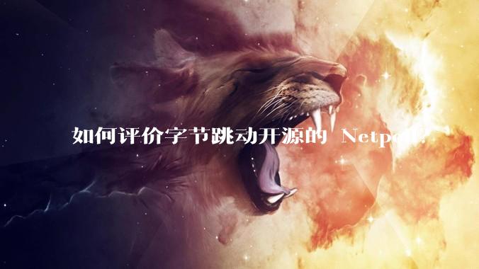 如何评价字节跳动开源的 Netpoll？