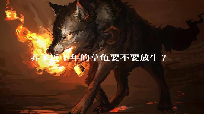 养了近十年的草龟要不要放生?