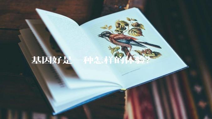 基因好是一种怎样的体验？