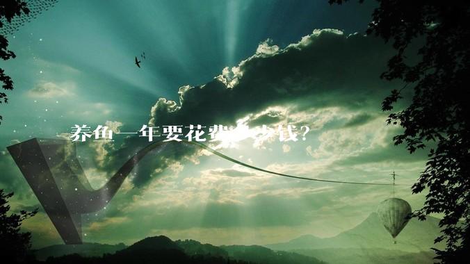 养鱼一年要花费多少钱？