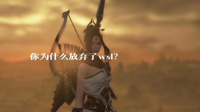 你为什么放弃了wsl？