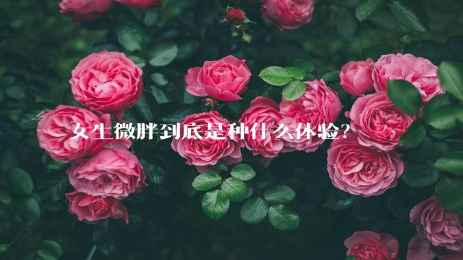 女生微胖到底是种什么体验？
