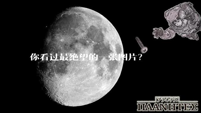 你看过最绝望的一张图片？