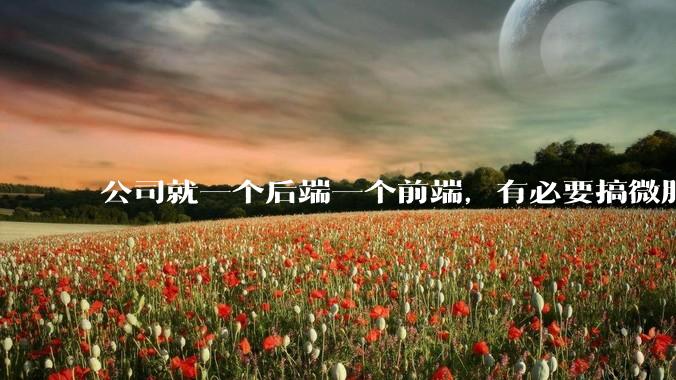 公司就一个后端一个前端，有必要搞微服务吗？