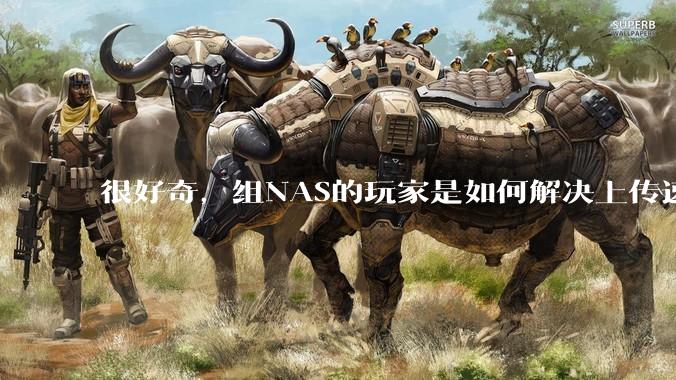 很好奇，组NAS的玩家是如何解决上传速率的问题?