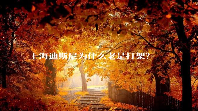 上海迪斯尼为什么老是打架？