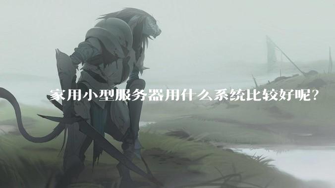 家用小型服务器用什么系统比较好呢？